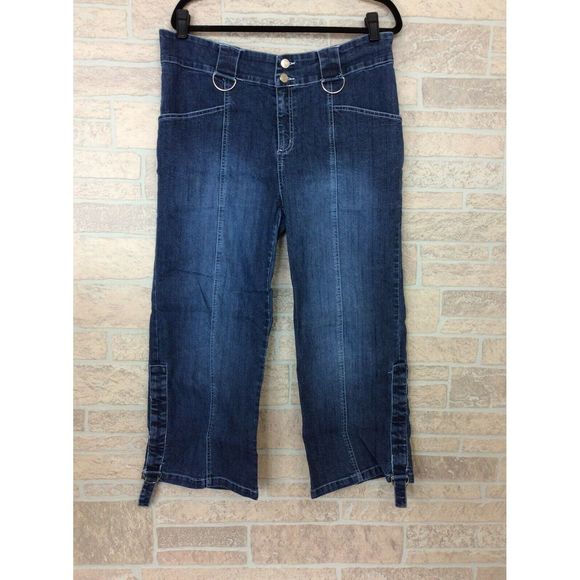 lane bryant blue jeans